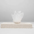 Natural Clear Quartz Cluster | for Clearing Mental Fog | Enhancing Clarity | Spiritual Focus