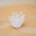 Natural Clear Quartz Cluster | for Clearing Mental Fog | Enhancing Clarity | Spiritual Focus
