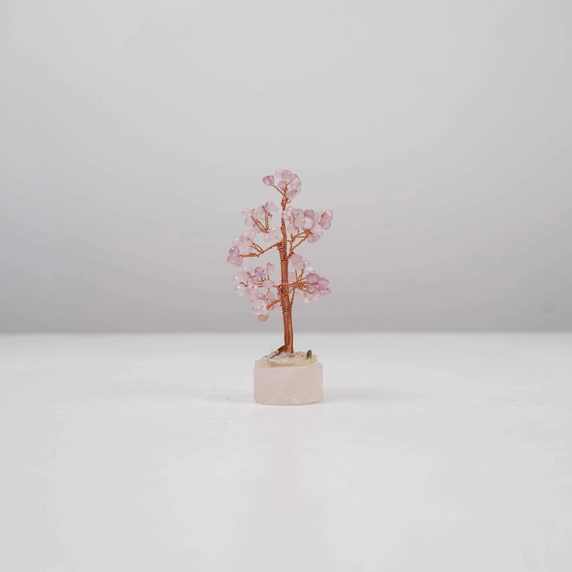 Rose Quartz Crystal Tree | Love | Healing